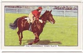 The Newmarket Town Plate